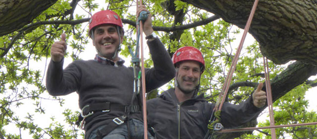 Goodleaf tree climbing